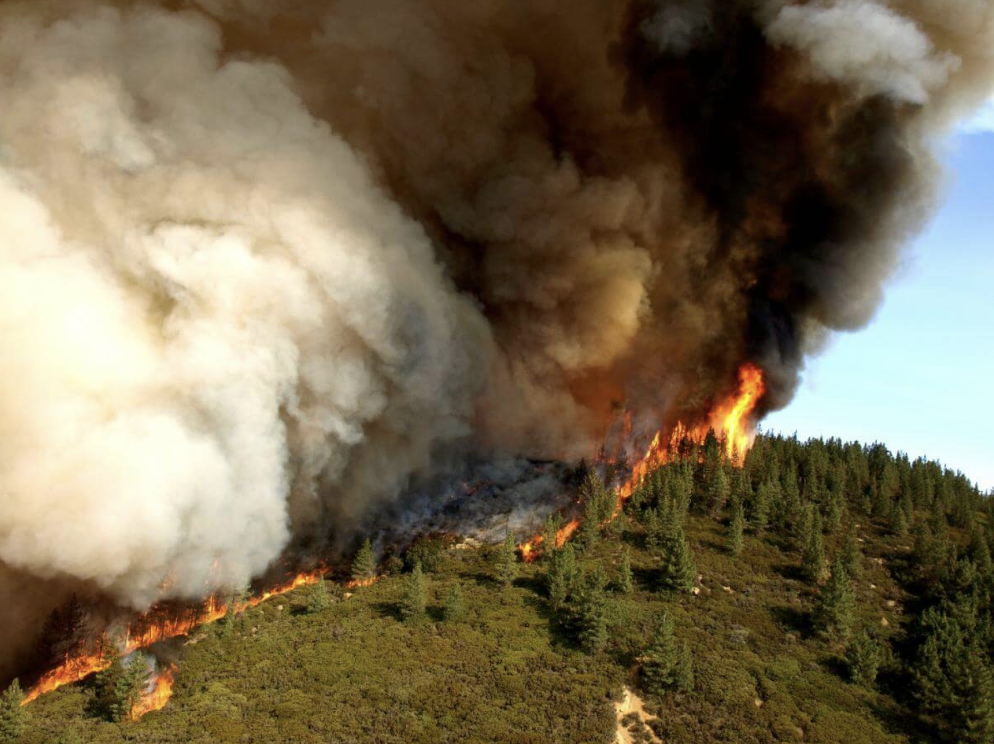 Shows the top of a mountain with scattered trees. Half of the mountain is on fire with white and black smoke rising from the ground with flames to the sky and the other half is not on fire, with only grass, trees, and a blue sky.